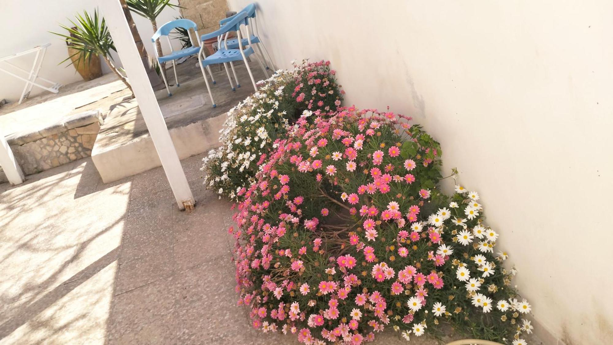 Casa Antonio E Nicoletta Villa ปอร์โตเชซาเรโอ ภายนอก รูปภาพ